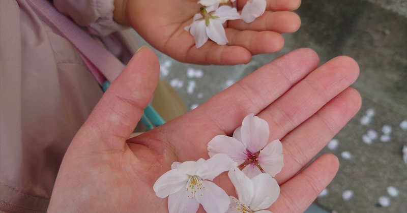 悲しい桜 ～パワハラ体験記〜