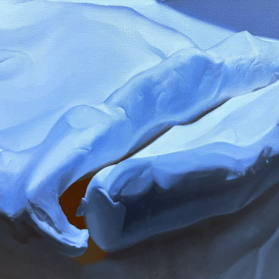 高木優希「第72回東京藝術大学 卒業・修了作品展」東京藝術大学｜菊池遼