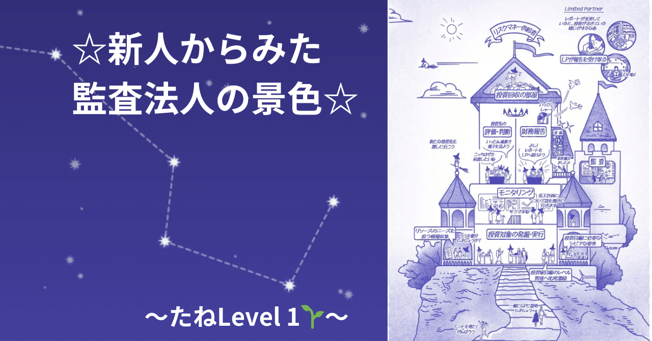 新人からみた監査法人の景色～たねLevel 1🌱～｜ななつぼし監査法人