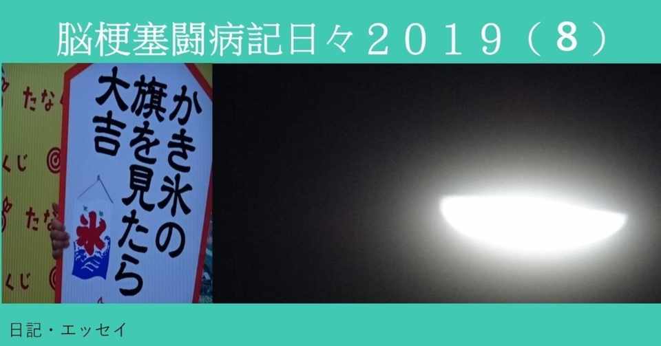 脳梗塞闘病記日々２０１９ ８ Michizane Note