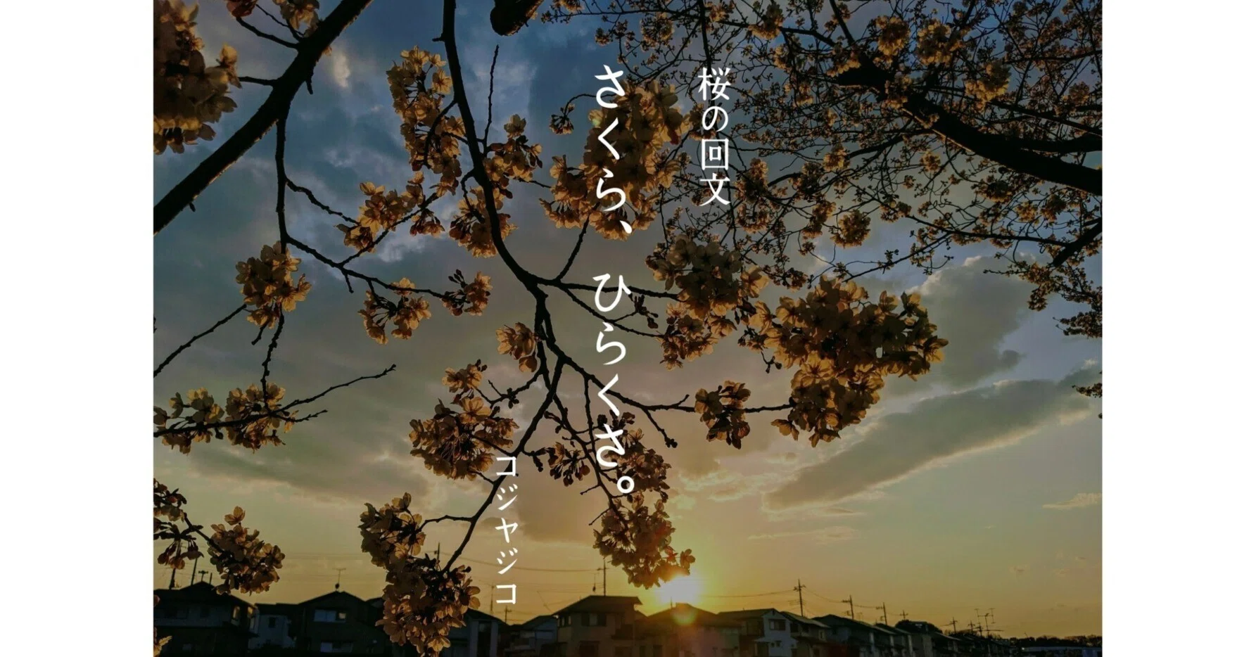 桜の回文 『さくら、ひらくさ。』｜コジヤジコ