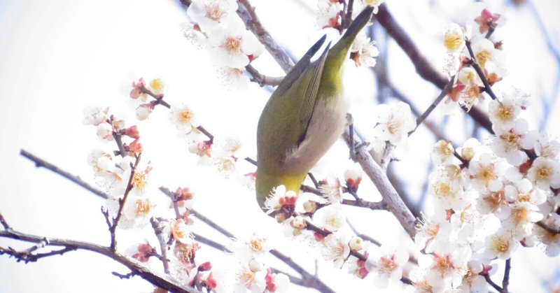 出会いと別れの季節