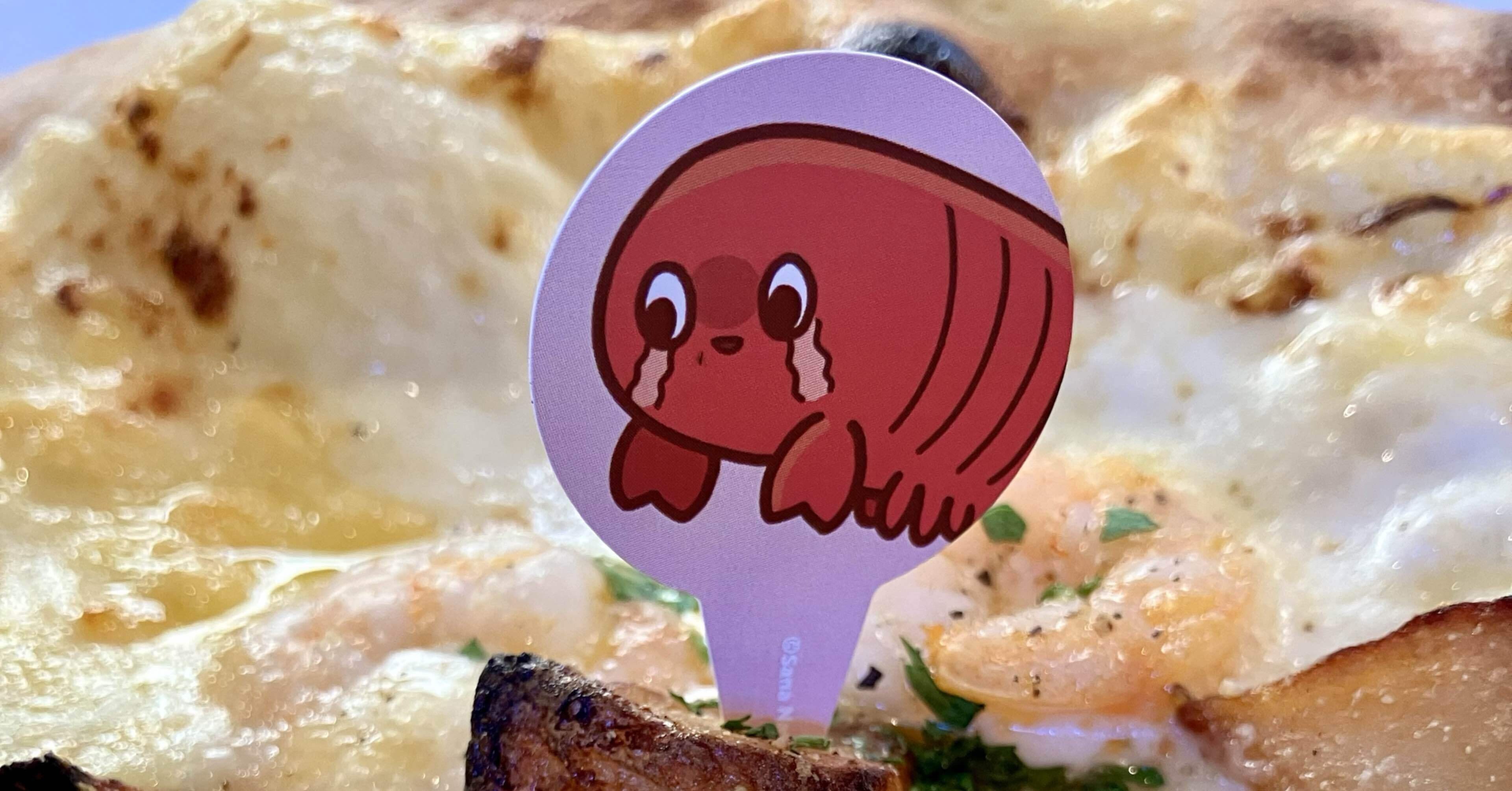 敗北を知りたい：さなのばくたん。2024-現地レポ-｜ぱとぅるじゃん🍆