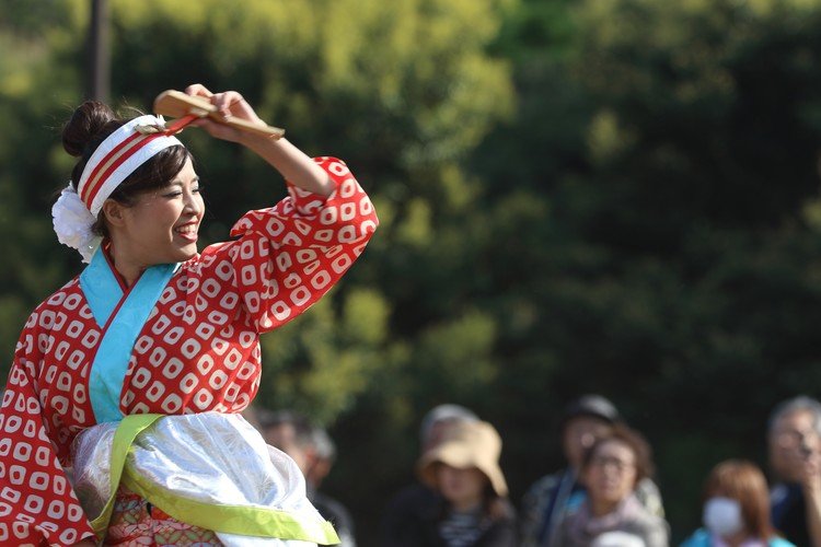 【撮影場所】大師公園のメインステージ 【撮影日】2019.4.20 【カメラ】Canon EOS 7D Mark II 【レンズ】Canon EF100-400mm F4.5-5.6L IS II USM