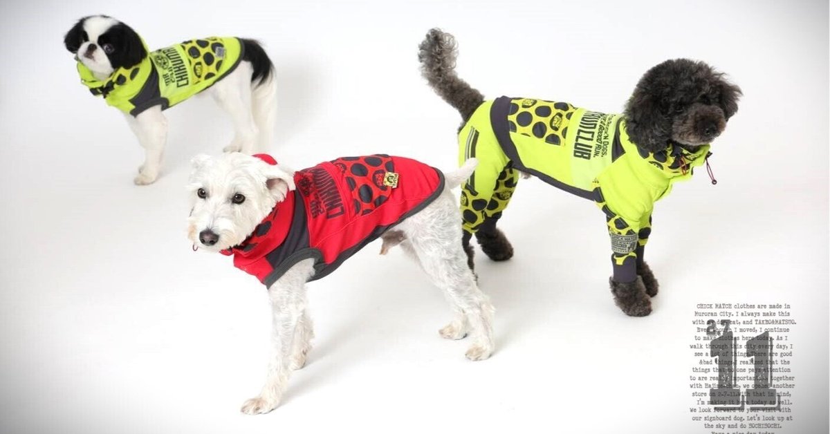 犬服 S わんこの普段着バンビブルー