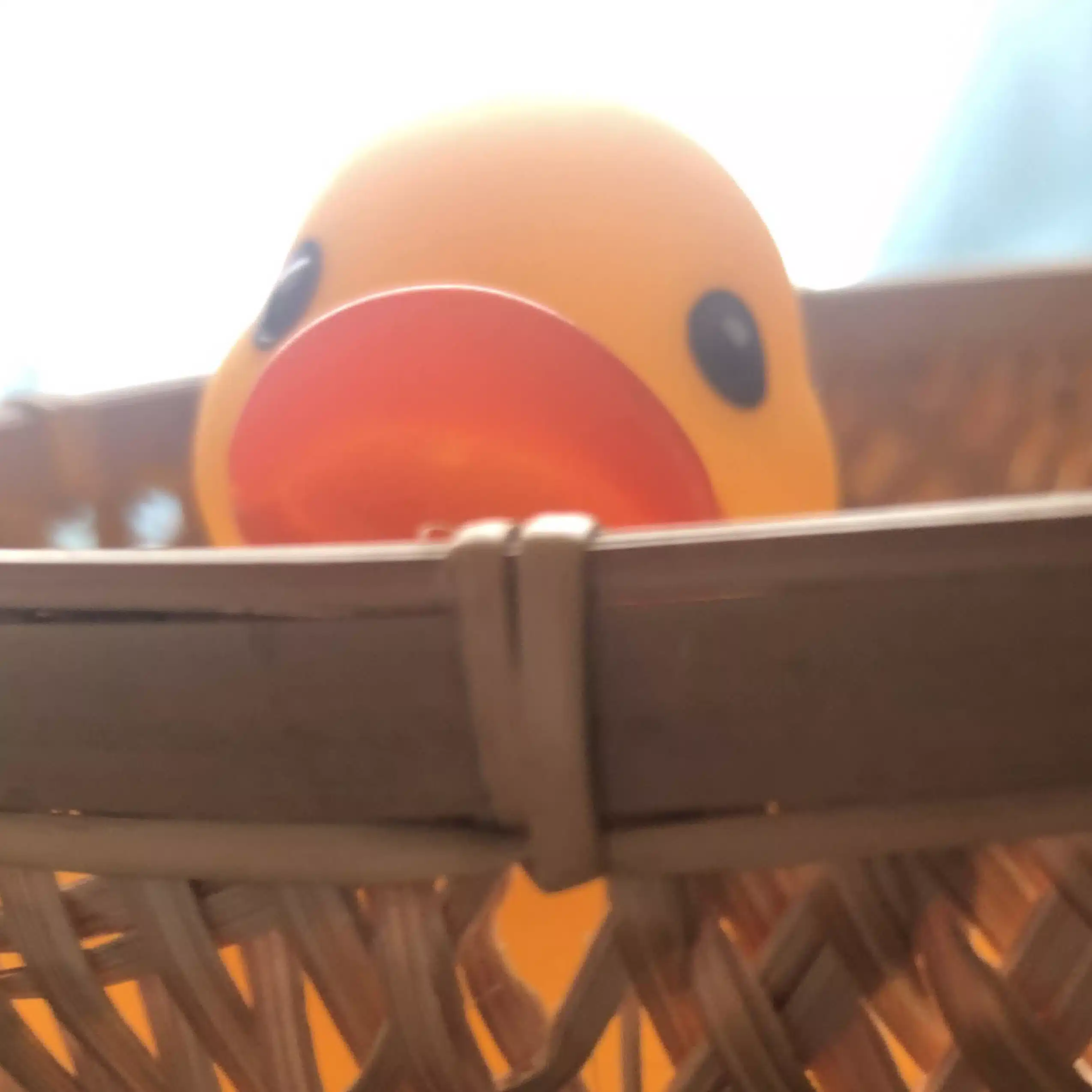 つむ