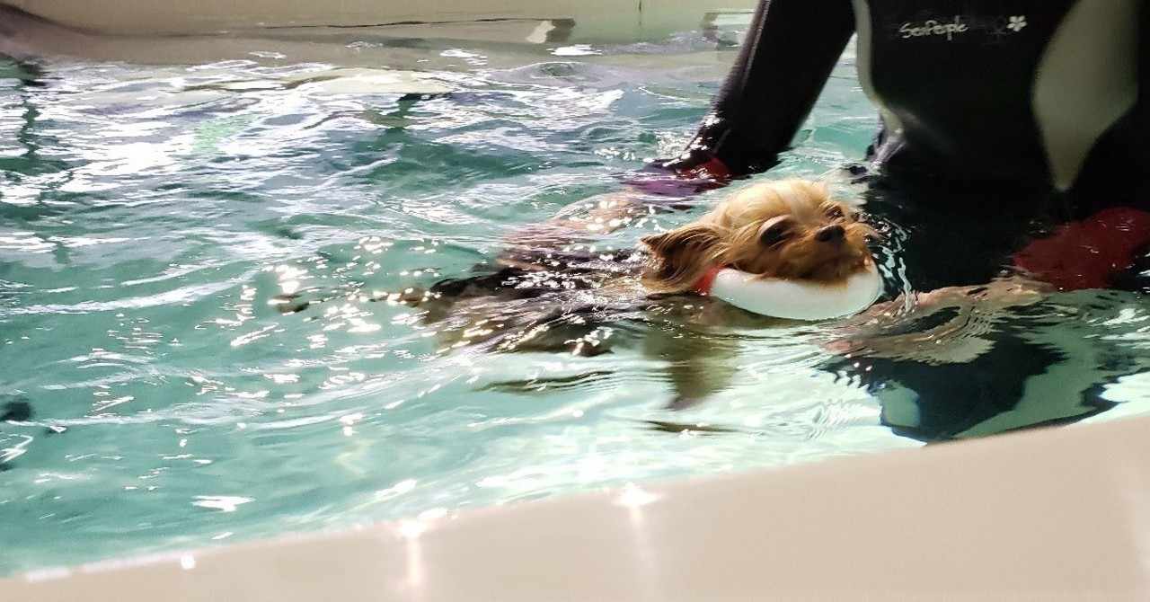 ストレススマイル の新着タグ記事一覧 Note つくる つながる とどける