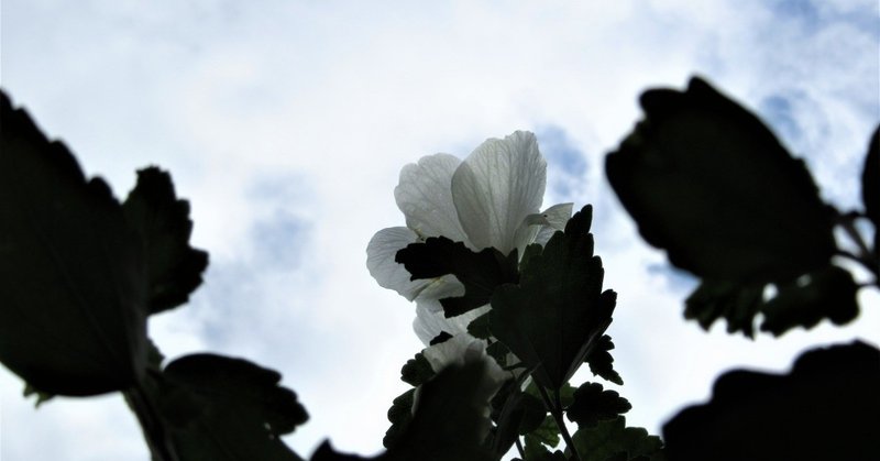 note