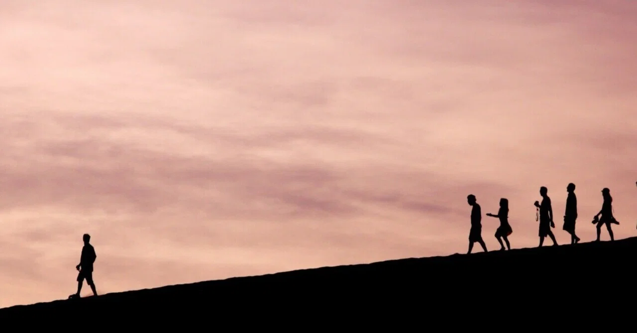 Team Building and Effective Leadership: Insights and Best Practices ...