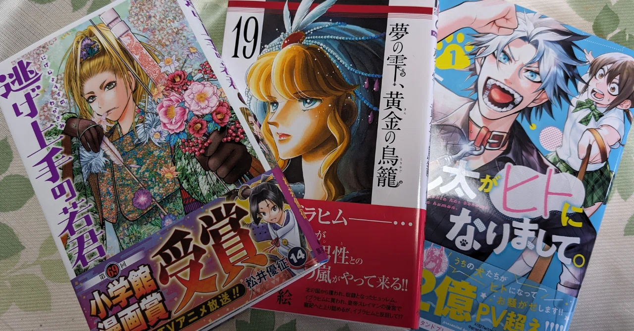 見出し画像