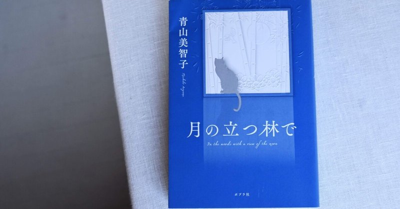 日常の綻びに寄り添ってくれる青山美智子さんの本のこと