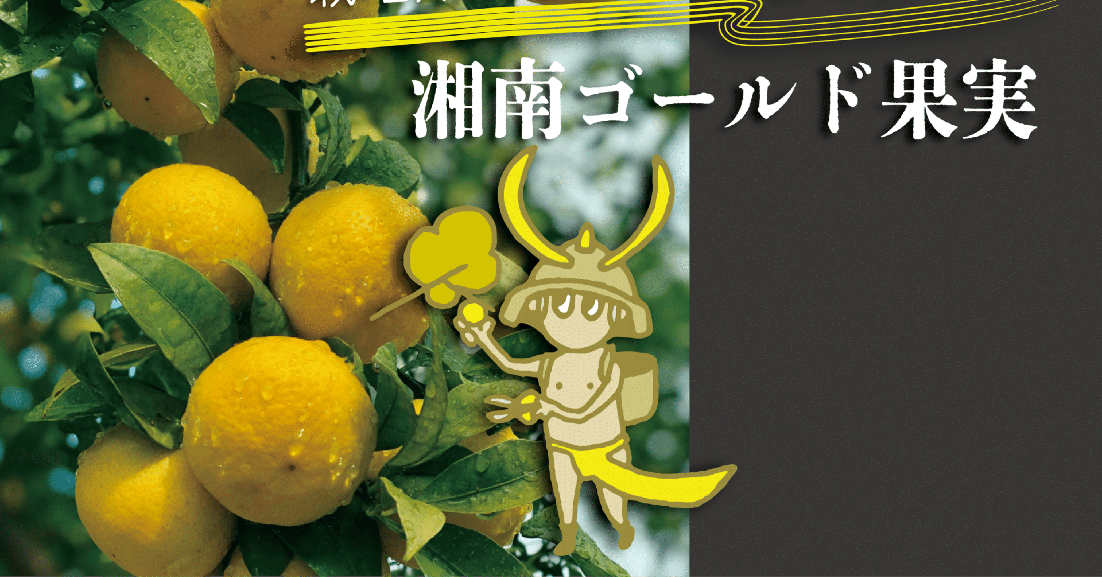 今年も公式通販サイトで湘南ゴールド果実販売開始！｜SHONAN GOLD