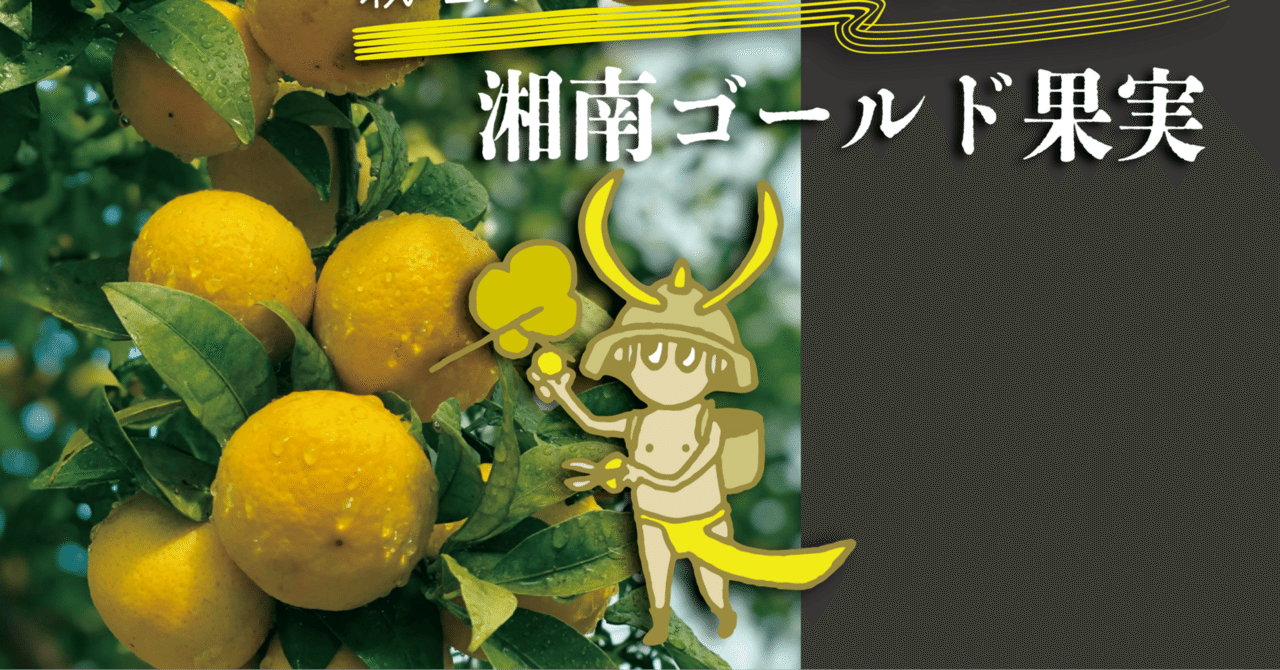 今年も公式通販サイトで湘南ゴールド果実販売開始！｜SHONAN GOLD