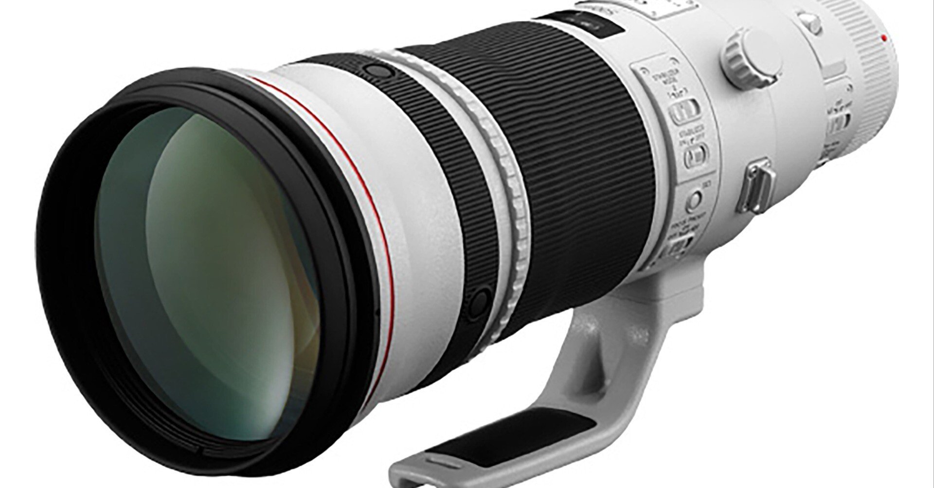 野鳥撮影の履歴書 #2【デジタル一眼時代】｜神戸の野鳥note@きたの み