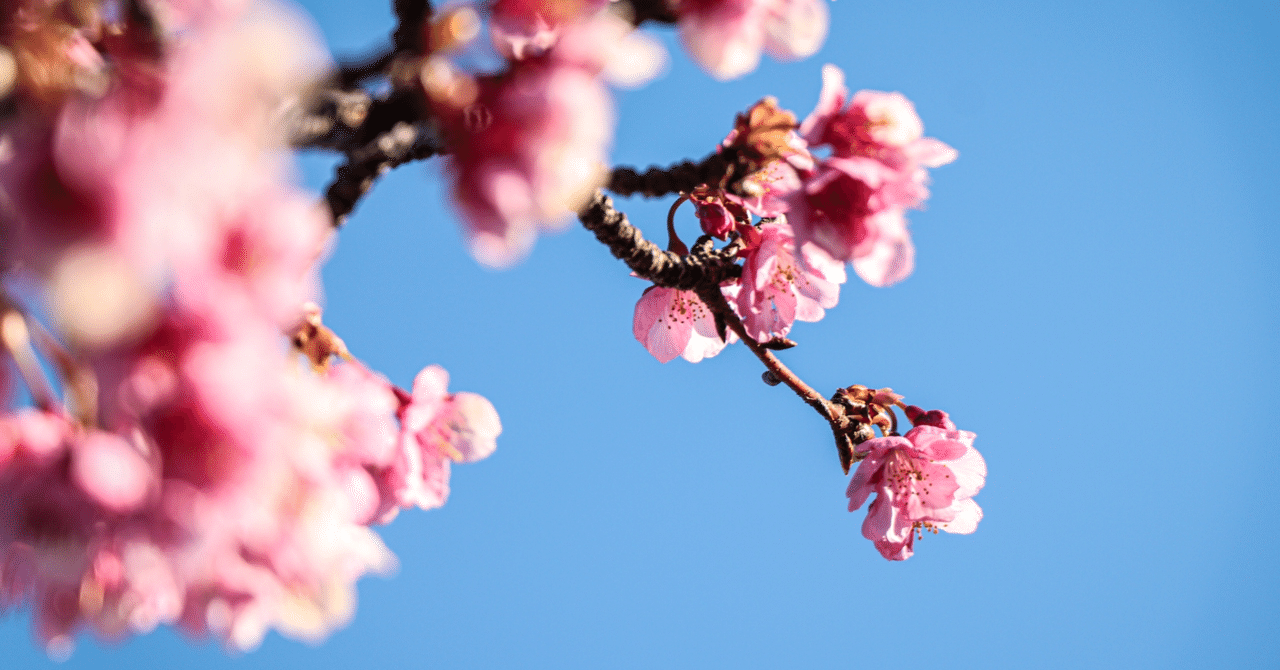春は調和の季節 〜 「花咲ク街」 ゆず｜hisataroh358