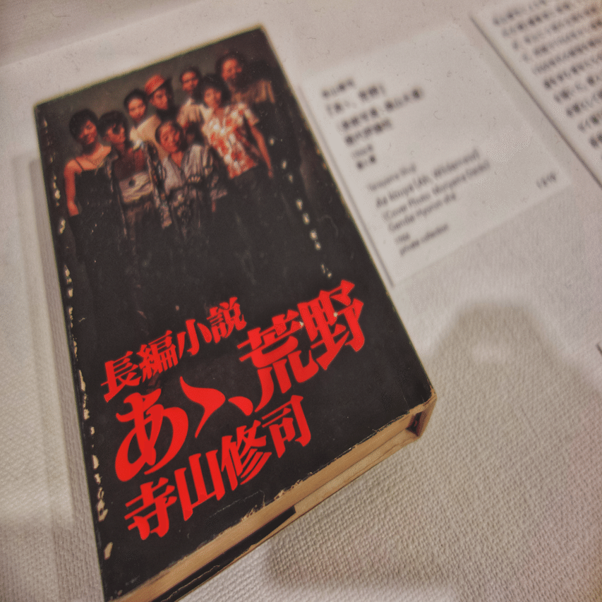 中平卓馬 火―氾濫」｜🅣ⓄⓀⓎⓄ Ⓢ🅣ⓇⒺⒺ🅣 🄿🄸🅇