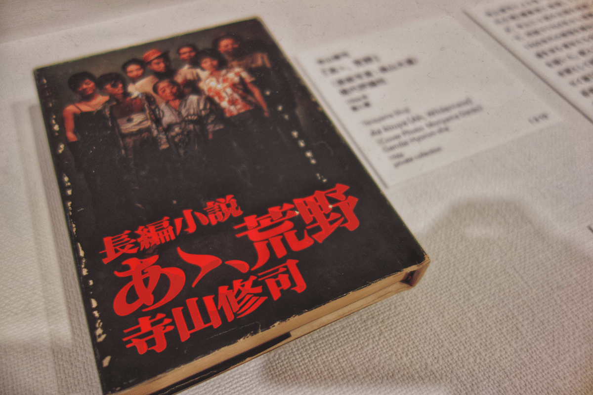 新品 new】中平卓馬 火―氾濫 写真集 カタログ 森山大道 森山大道と中平