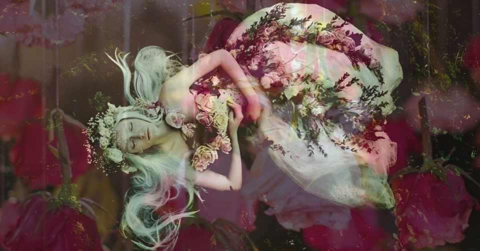 糸紡ぎ姫 眠り姫 躾 愛 スピリチュアル ツインレイ 成功の法則 日本人 わたし Note