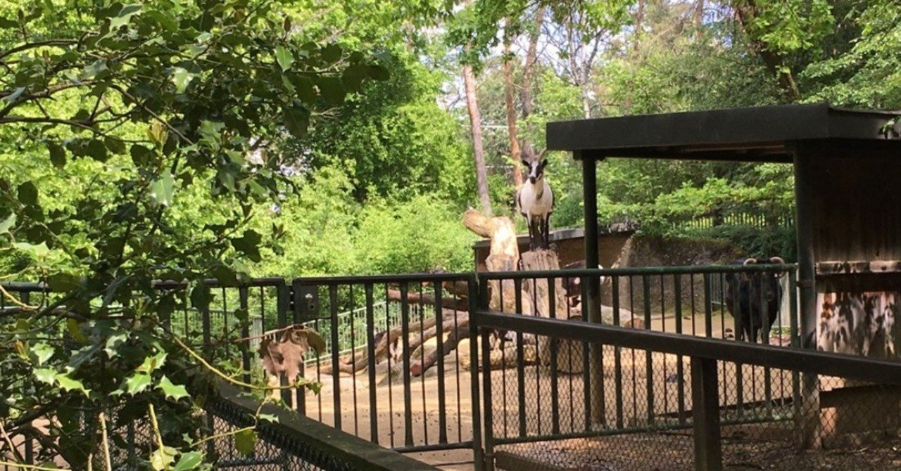 モダンでおしゃれなスイス バーゼル動物園 Nebulian Note