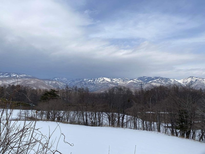 手前から雪原、林、遠くの山々、空の写真