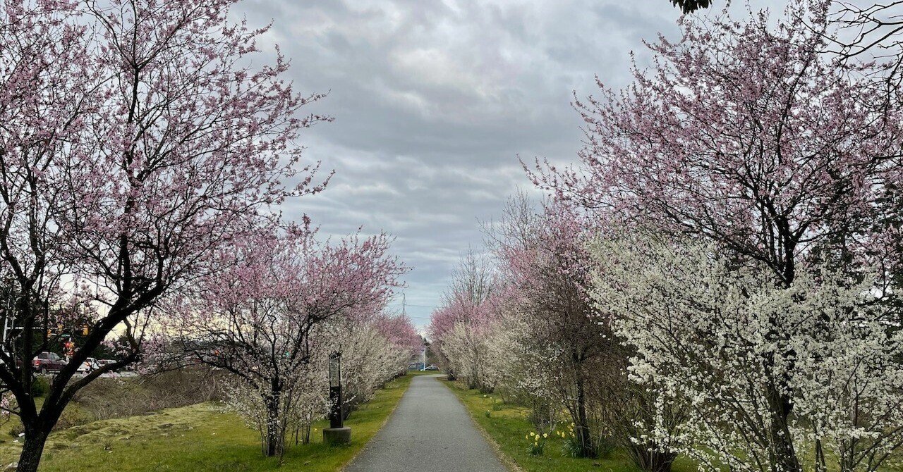 4. パニック発作が起きていることを認識する