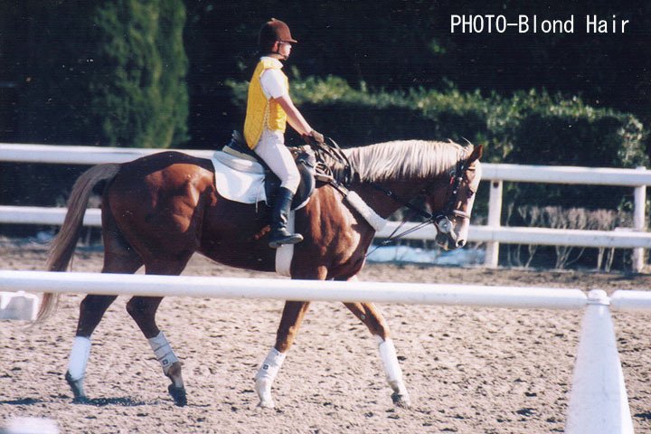 尾花栗毛 Album Vol 01 馬画人 まがじん Note