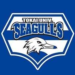 東海大学男子バスケットボール部SEAGULLS｜note