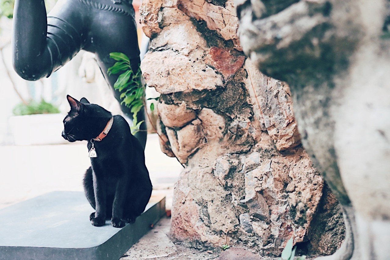 タイ旅行で食べたものまとめ｜左近榮梨（さこんえり）｜note