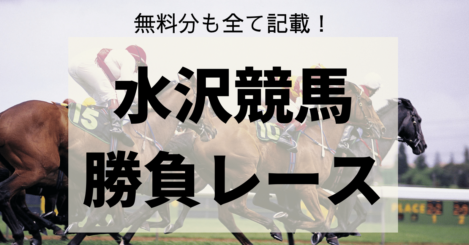 3/25 水沢勝負レースセット｜れいな/競馬予想