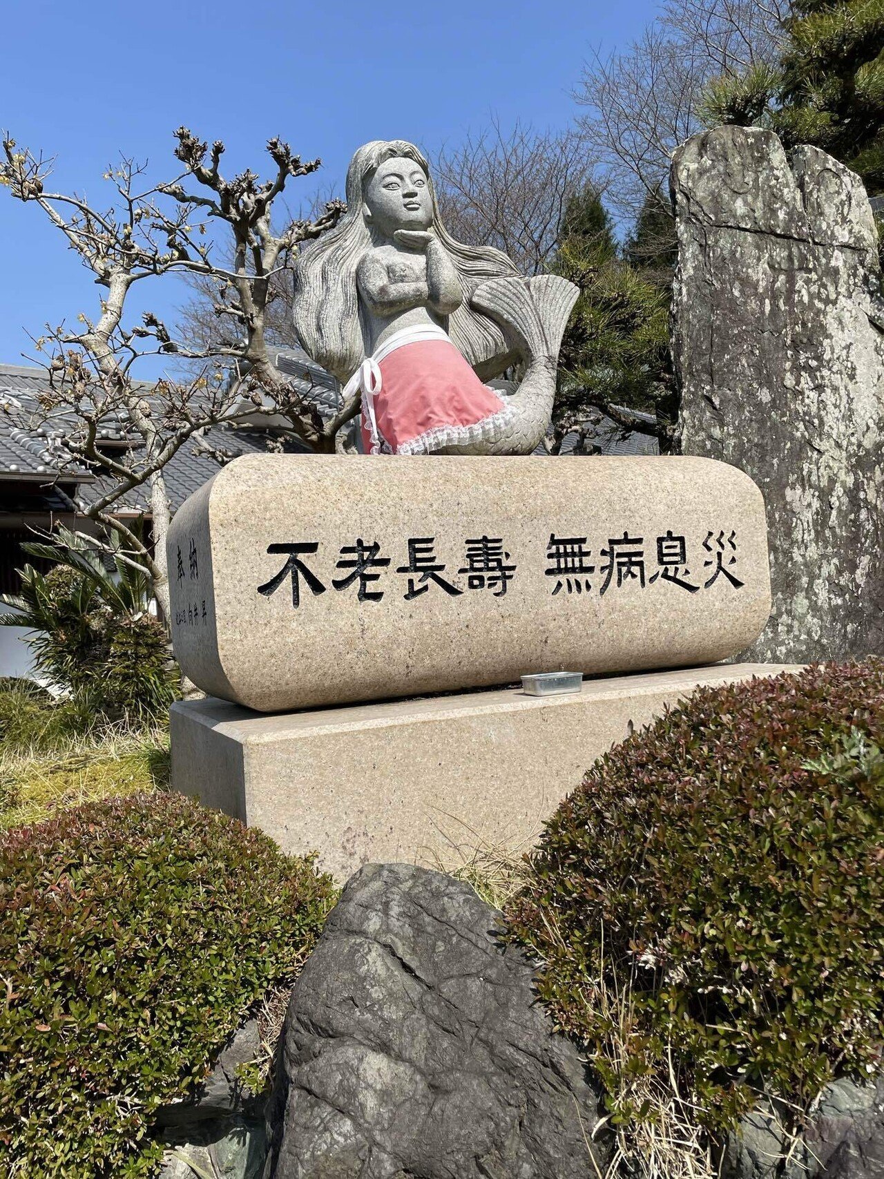 学文路苅萱堂 人魚のミイラ｜織田アヤカ