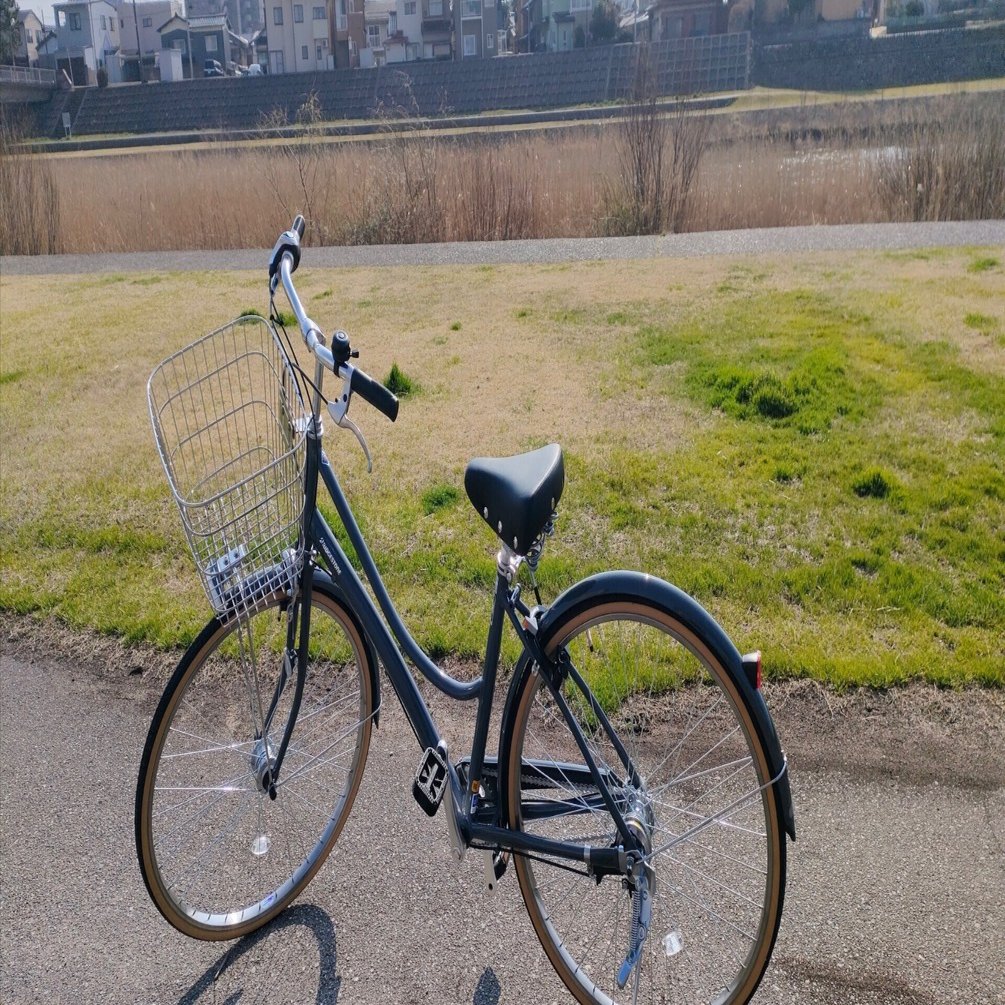 18〜19日目】 ようやく自転車を手に入れたが、少し後悔している話｜matonao