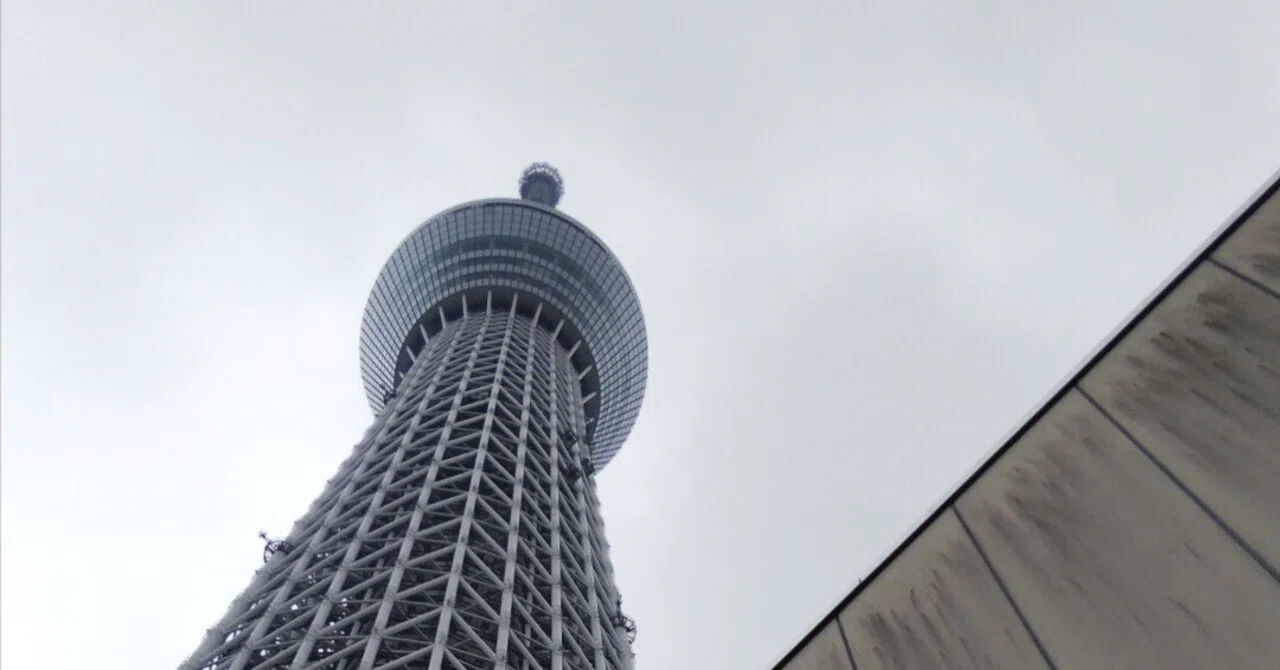 ひとりスカイツリーで天空見上げてアマリリス｜P子