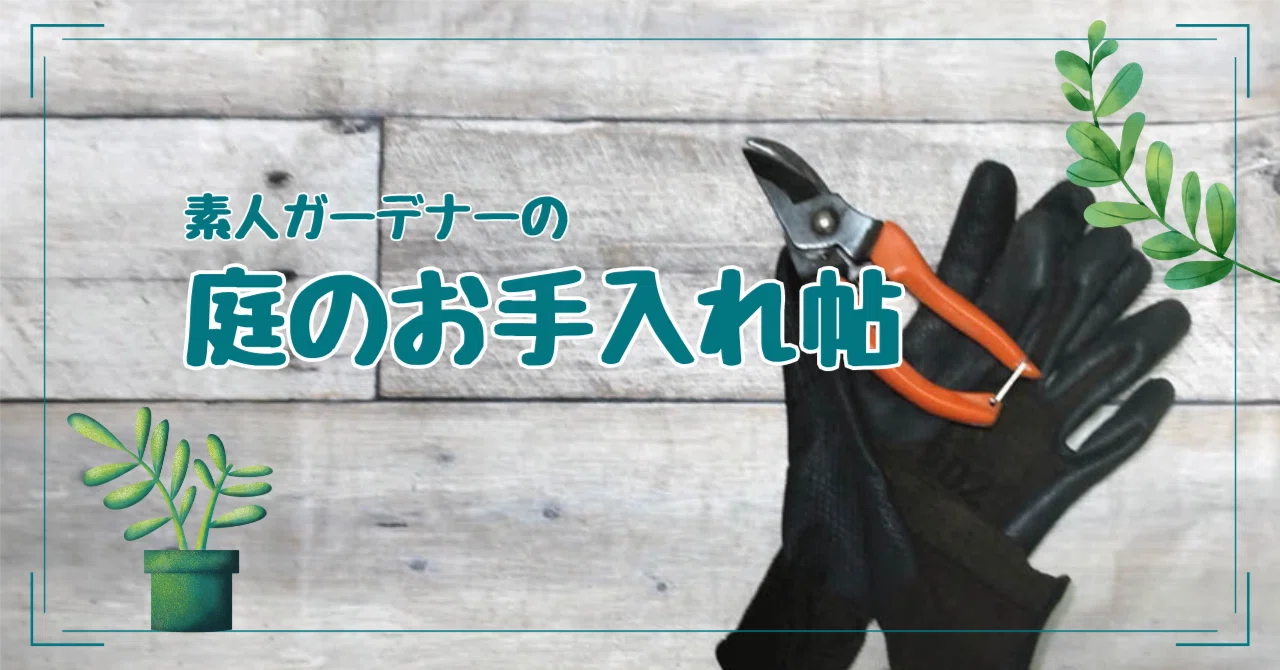 カイヅカイブキの先祖かえりに立ち向かう~素人ガーデナー・庭のお カイヅカイブキの先祖かえりに立ち向かう~素人ガーデナー・庭のお