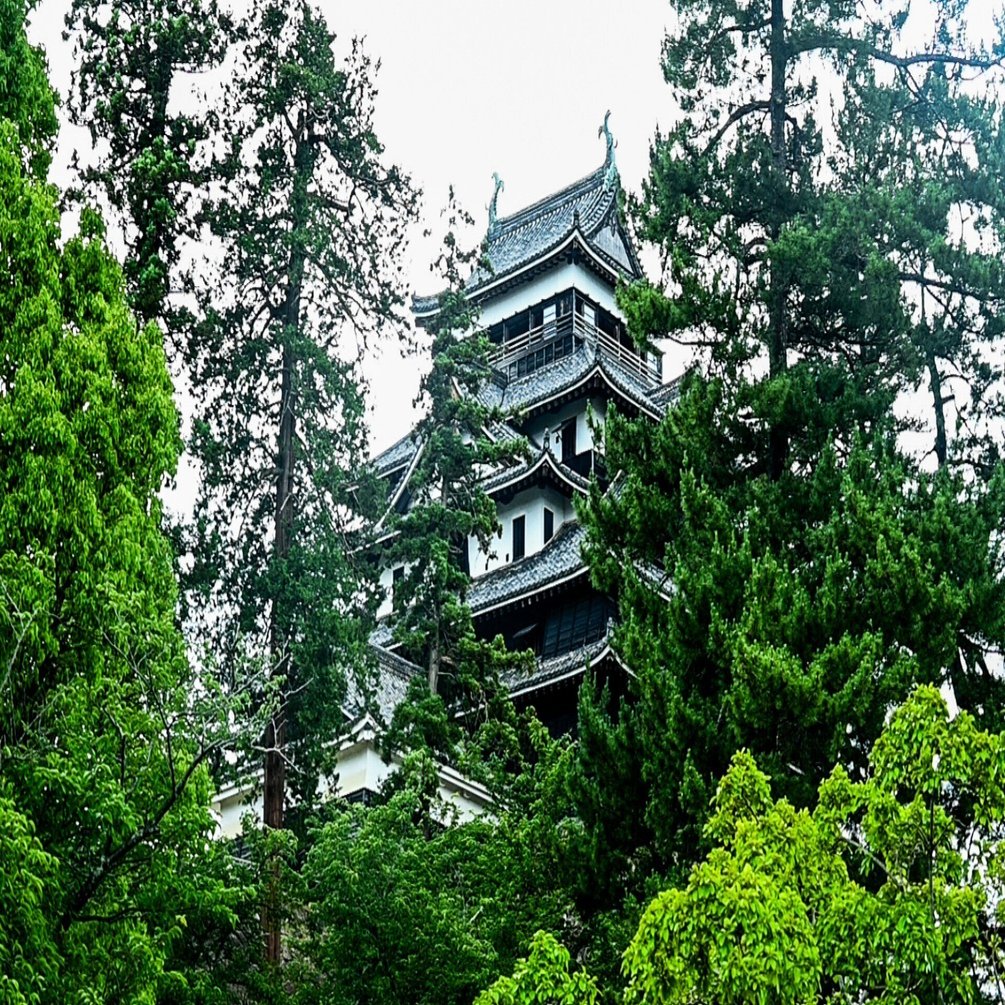 お城紹介】 行ってみたい日本のお城 5選！｜白ぶどう。