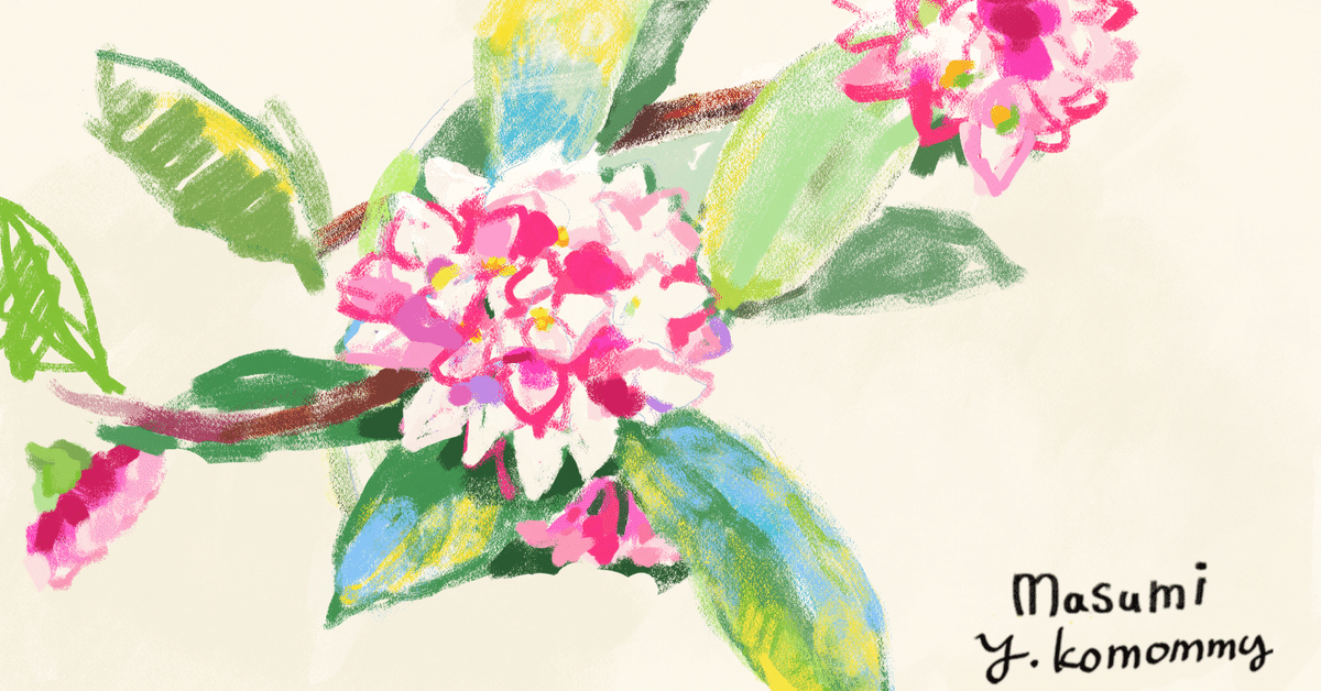 20240326 沈丁花｜ますみ