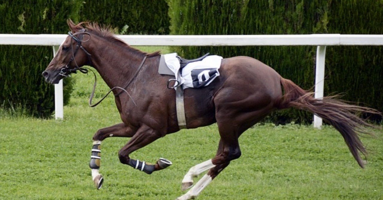 ユニオンオーナーズクラブ ２０１９募集馬短評 全頭 一口馬主マスターb Note
