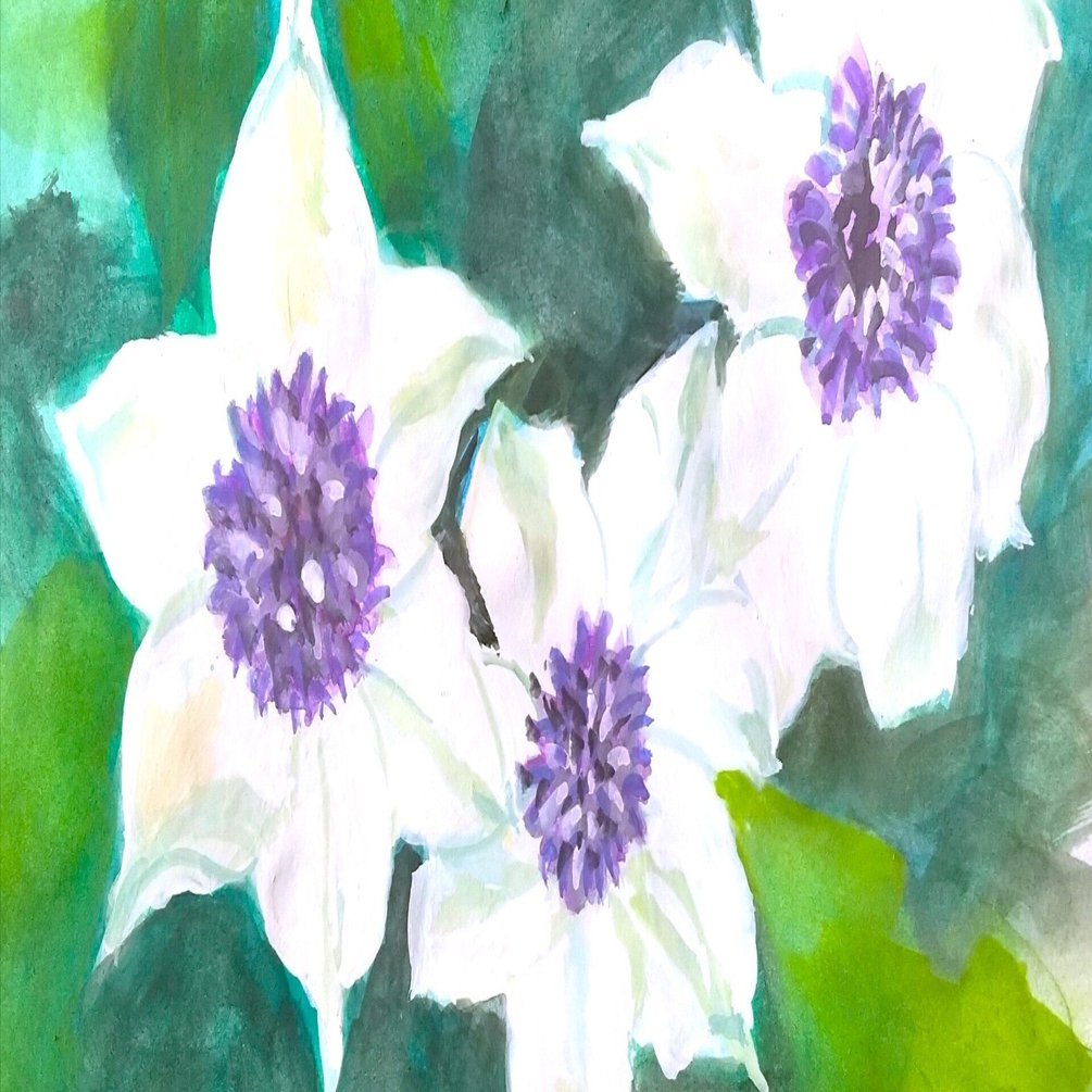 クレマチス｜北海道の熊おやじ〜北海道の179市町村の歴史と観光