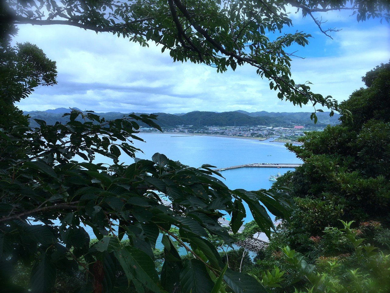 南房総市内で最初の1週間に目にした風景｜小林朋子／Tomoko Kobayashi 