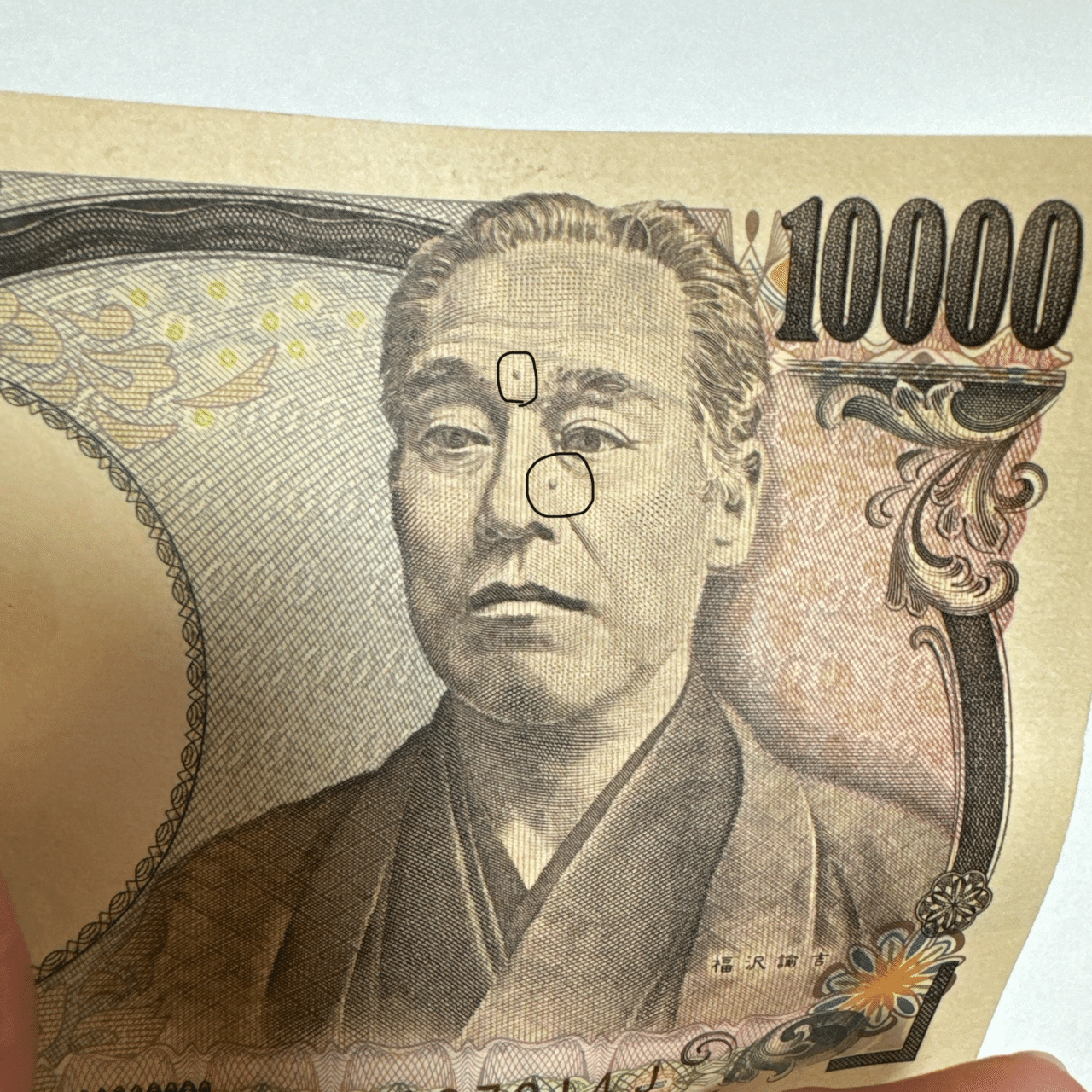 福沢諭吉のホクロちゃん｜どん底からお気楽ライフプロデューサー小林奈絵