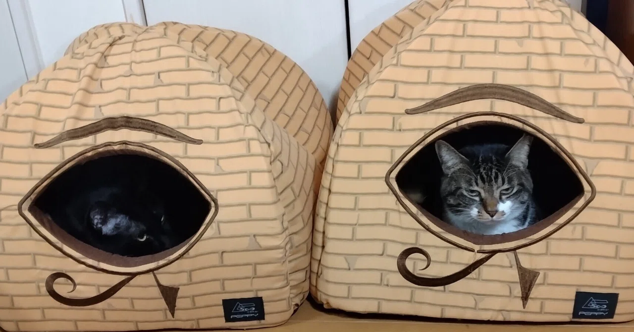 Funny Cat Goods (Cat House Edition)｜びんごぼんご