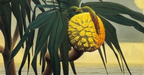 田中一村作　水彩画「桔梗」 桔梗 水彩画 : 青山一樹 水彩画のひととき