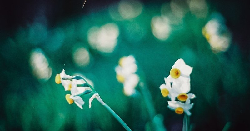 占いはあんまり当てにならないと私がおもう理由 北村有 Kitamura Yu Note