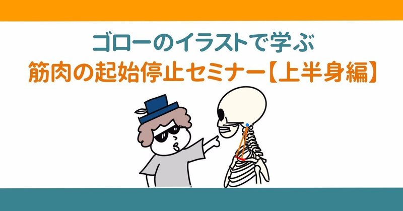 セミナー動画 イラストで学ぶ筋肉の起始停止 上半身編 解剖生理ゴロー Note