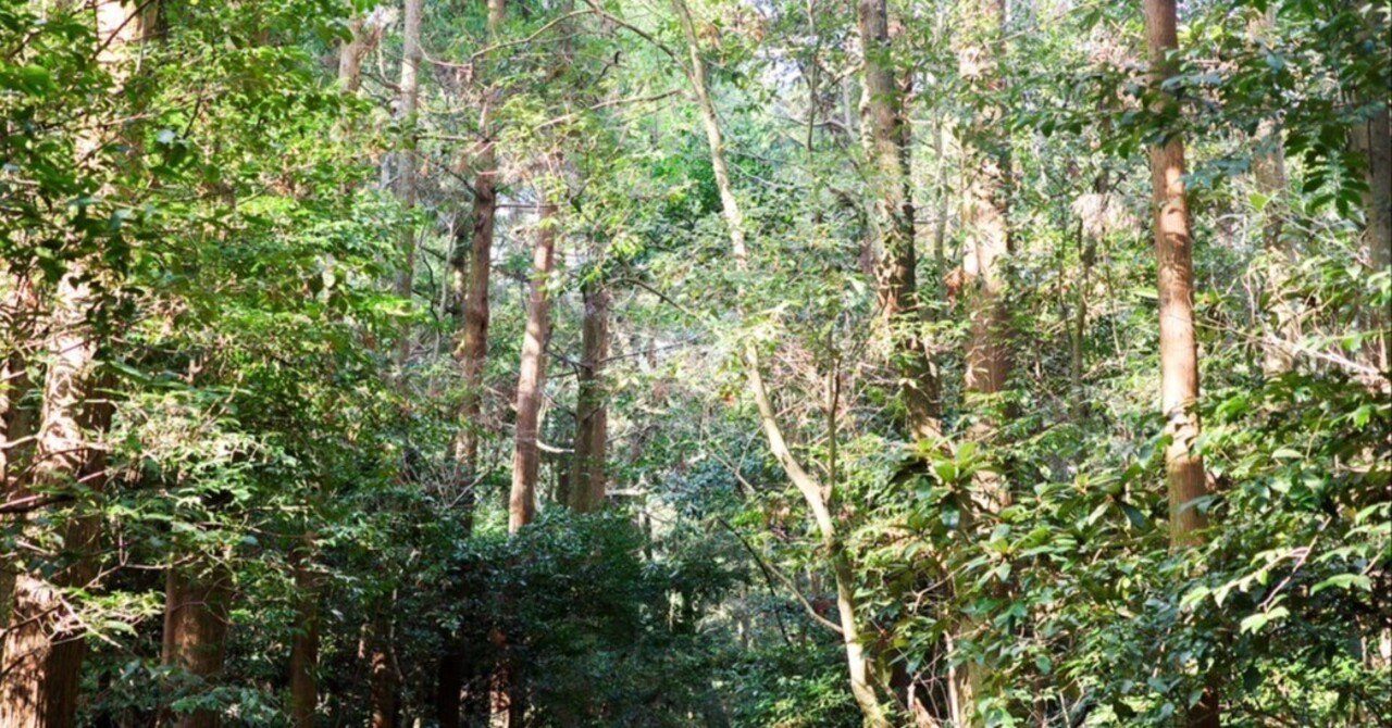 観光業界に「稼ぐ力」を！DMOとDMCの役割について。｜Shun Higano