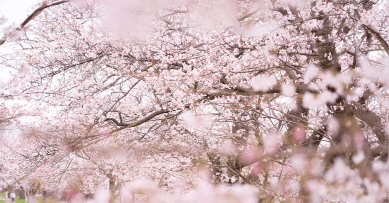 尾久イベント情報〜　絵本原画展・しだれ桜・不条理演劇etc