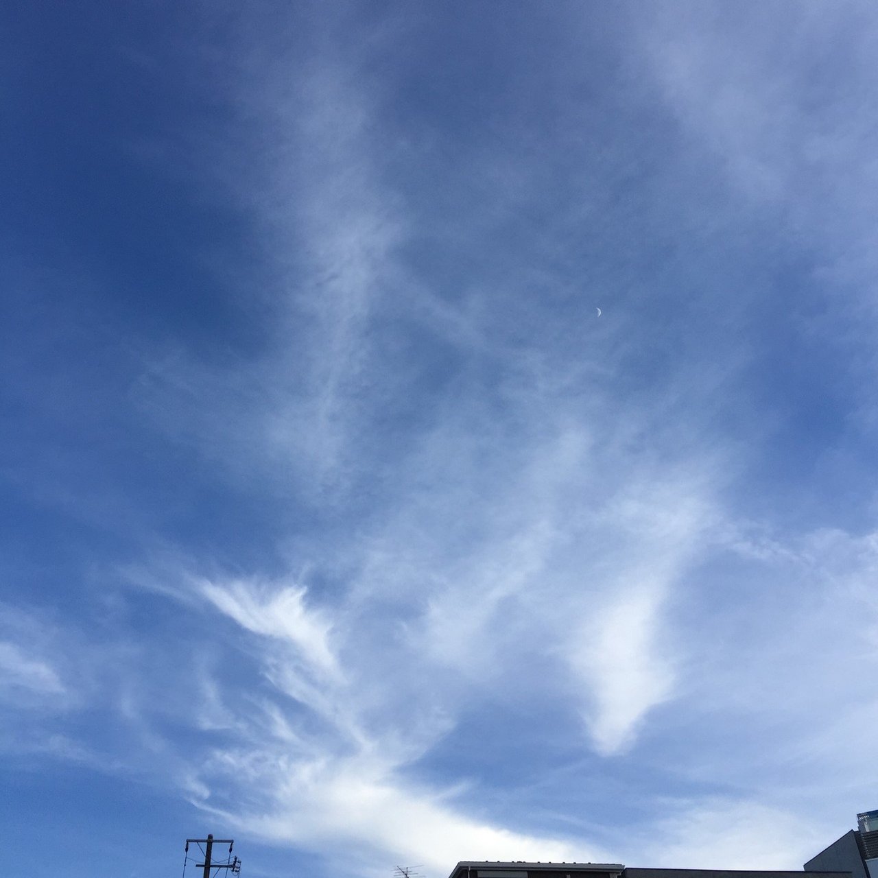 今週の雲のもくもく模様 長谷川仁美 ライター Note