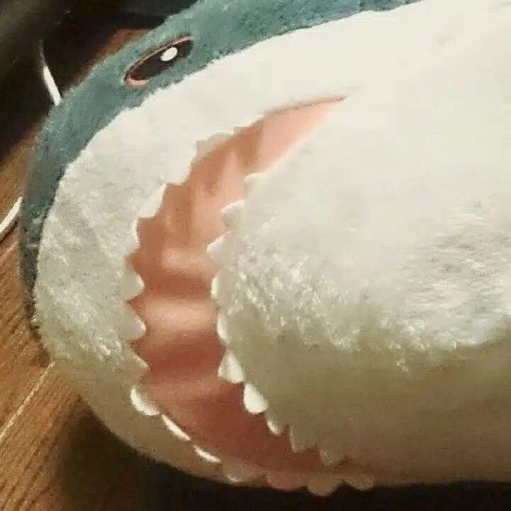 もけたろう