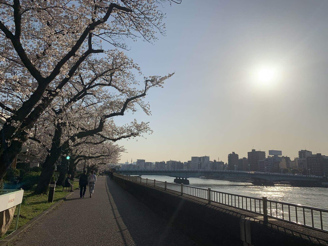 東京さんぽ＊ 春の隅田川と奥浅草を歩く｜Ⓜ︎/旅する全国転勤OL