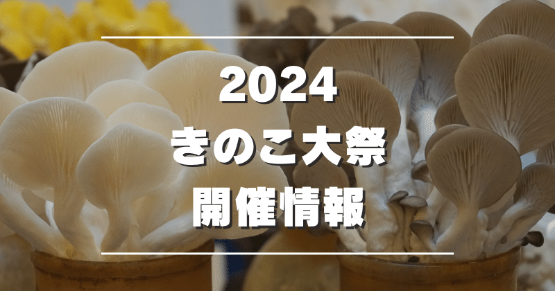 2024_きのこ大祭_開催情報