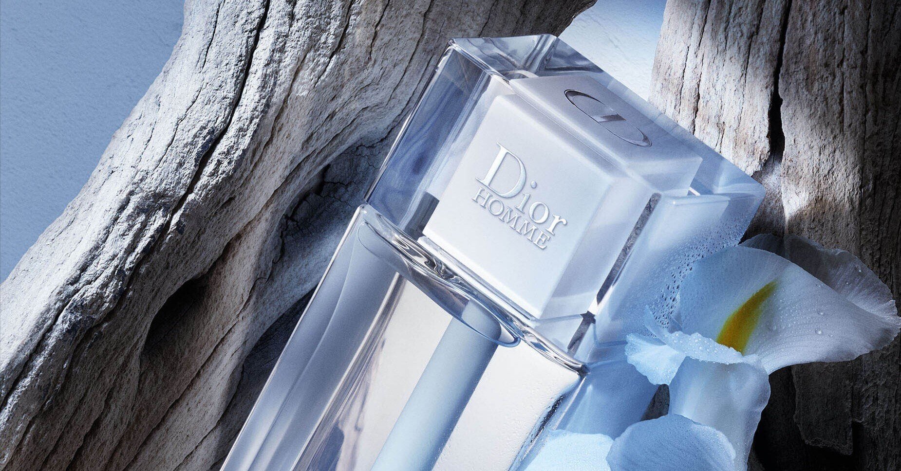 DIOR ディオールオム シリーズ｜𝕃 ‐ エル ‐ ｜香水と甘いもの